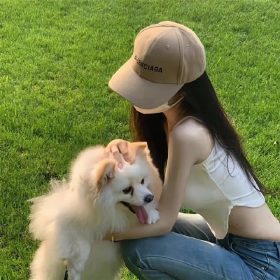 梅花档案